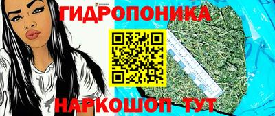 стаф Ливны