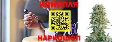стаф Ливны