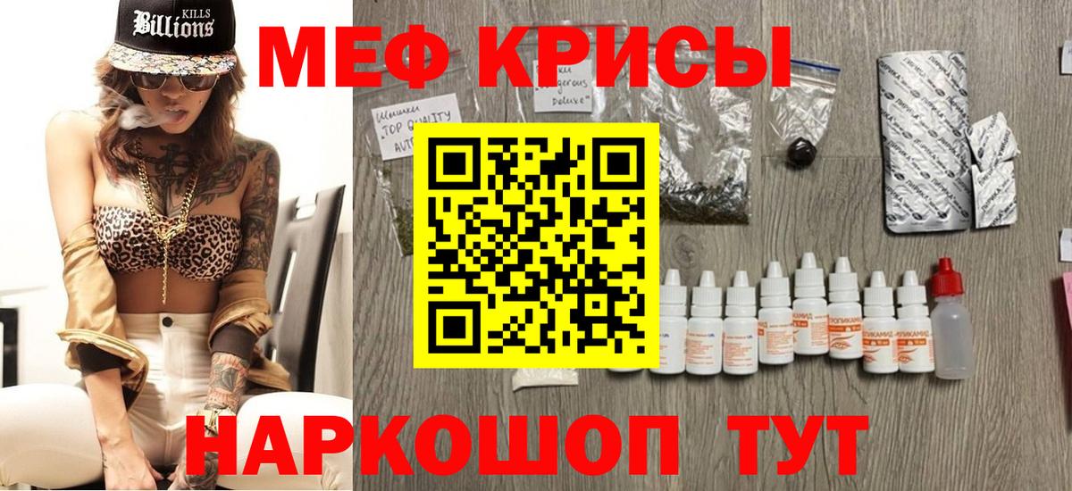 МЕФ  Камышин