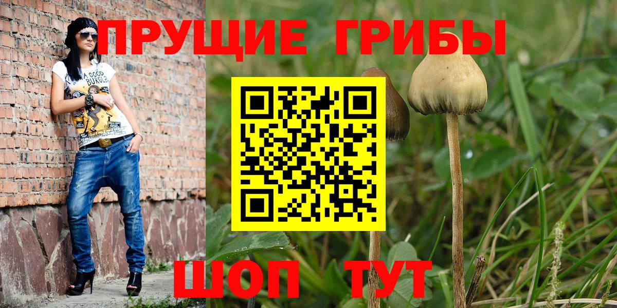  Cocaine Камышин