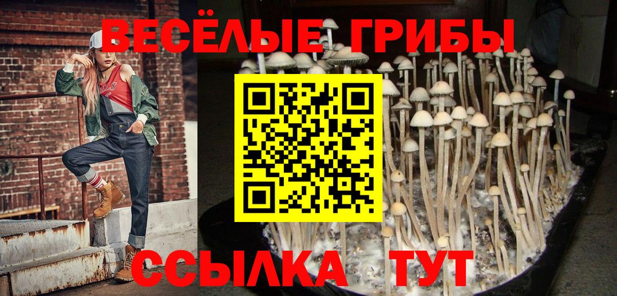 Псилоцибиновые грибы ЛСД  Вход с VPN  наркота  Камышин  Галлюциногенные грибы GOLDEN TEACHER 