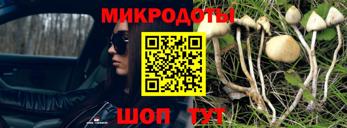 Галлюциногенные грибы прущие грибы Камышин