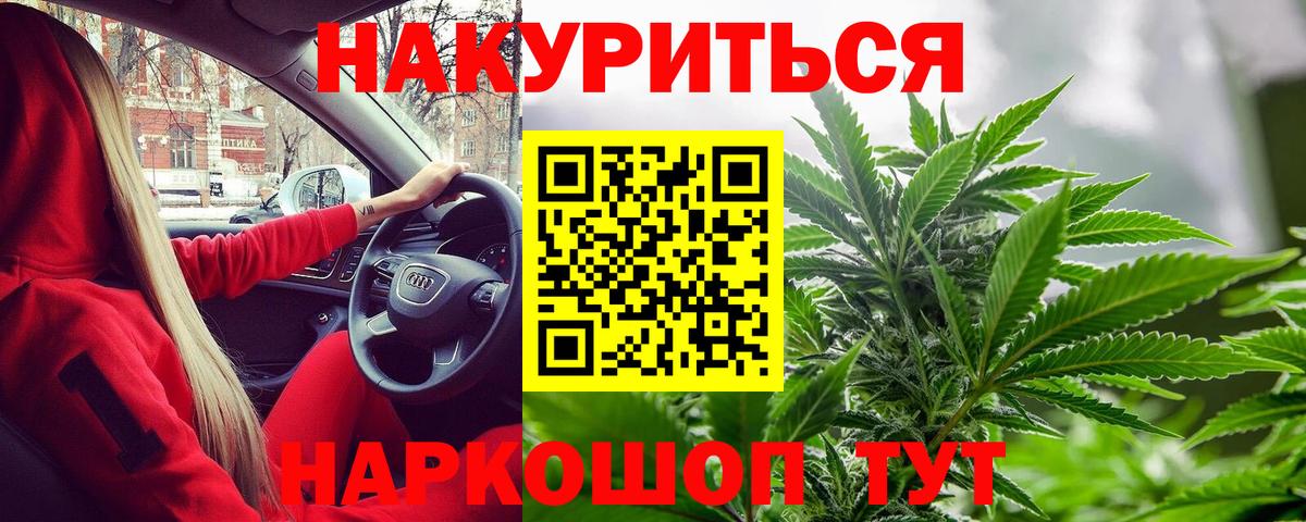 Камышин  Марихуана Amnesia  Вход с VPN  Бошки марихуана Bruce Banner  Конопля Amnesia 